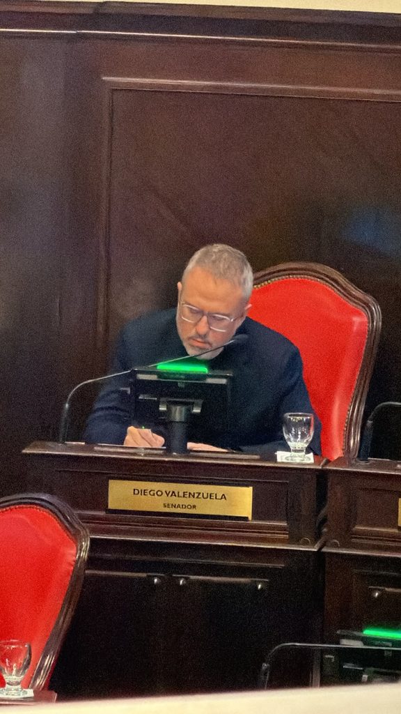 Diego Valenzuela, derrotado tras las contestaciones de los senadores peronistas.