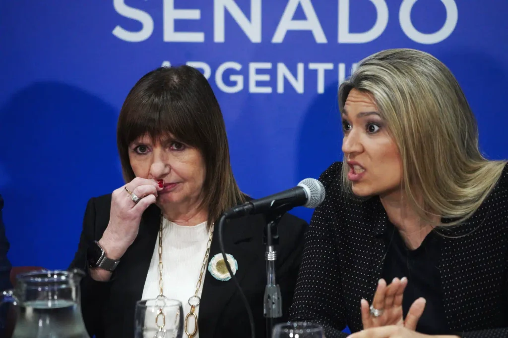 La senadora libertaria Nadia Márquez es la candidata de la Casa Rosada para presidir la estratégica comisión de Acuerdos.