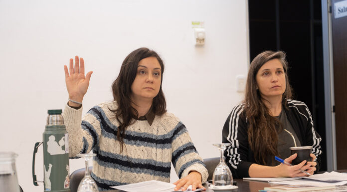 Diputados avanzó con una ley para profesionalizar a las cuidadoras bonaerenses La comisión de Mujer en la Cámara de Diputados avanzó este jueves con una ley de la legisladora Romina Braga para capacitar y profesionalizar a las cuidadoras bonaerenses.
