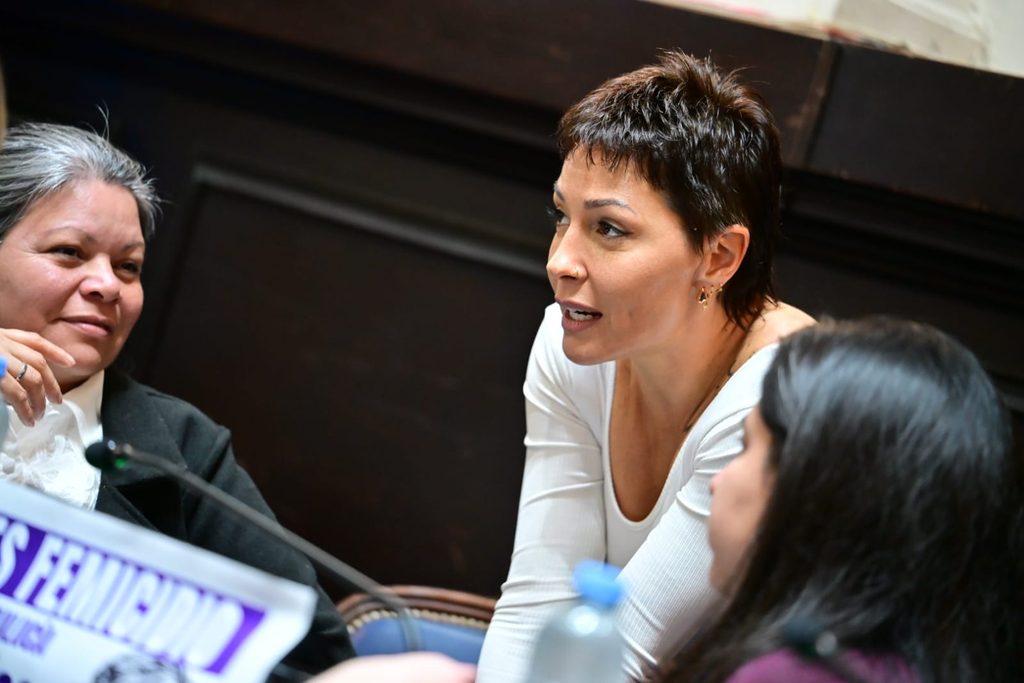 Mayra Mendoza advirtió que los fondos que el Gobierno perdió con el RIGI y las inversiones fallidas del Banco Central podrían haber sido utilizados para obras que mitiguen las inundaciones en el Conurbano bonaerense. 