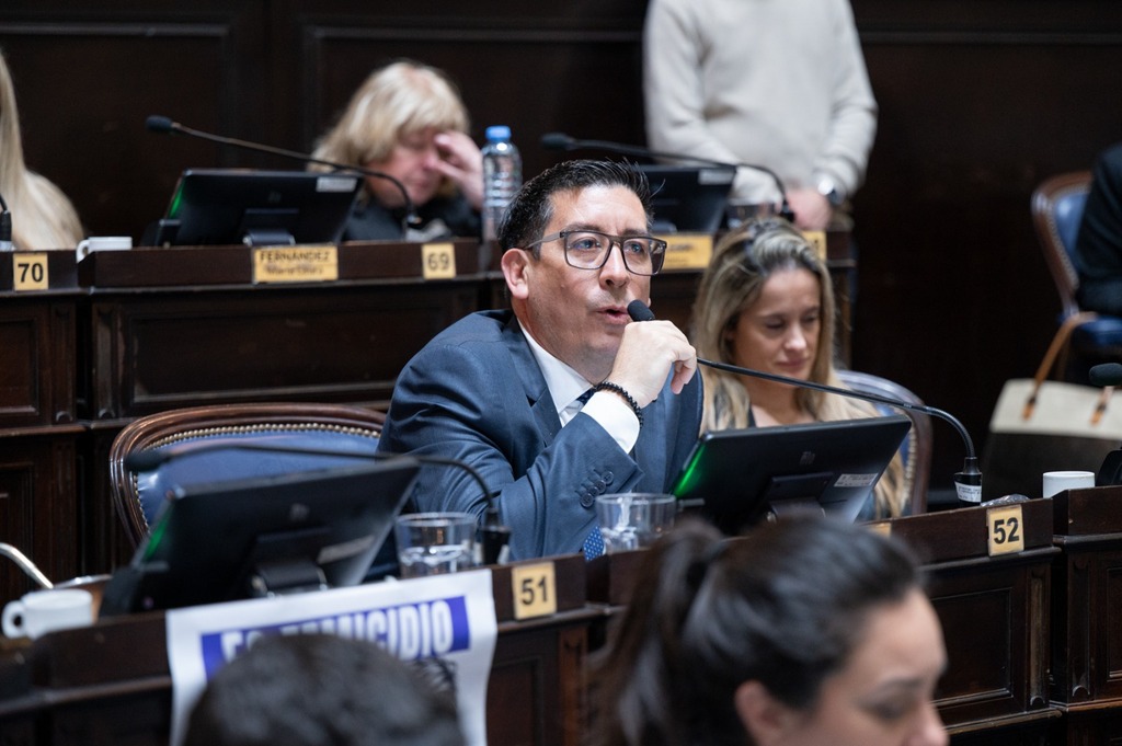 Diputados: el proyecto de Martín Rozas es una ampliación de la Ley 15.534 que restringe el uso de los dispositivos en las escuelas primarias.