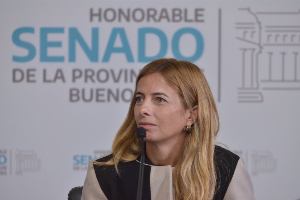 Emilia Subiza, la senadora bonaerense de Hechos - UCR Identidad. 
