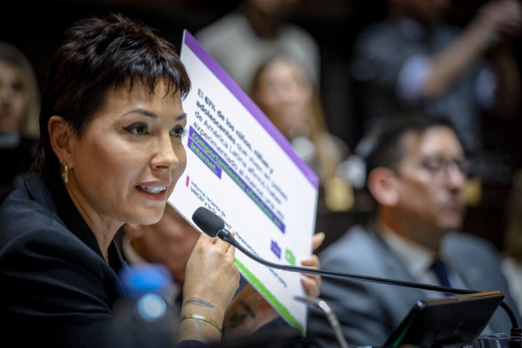 La diputada peronista Mayra Mendoza presentó un proyecto para incorporar la educación digital integral en todos los niveles de las escuelas bonaerenses.